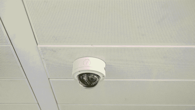bulk ip camera